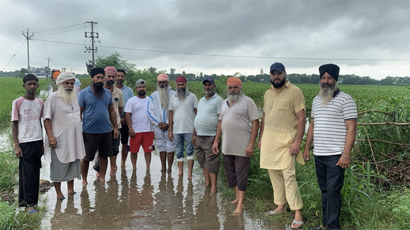 PunjabKesari